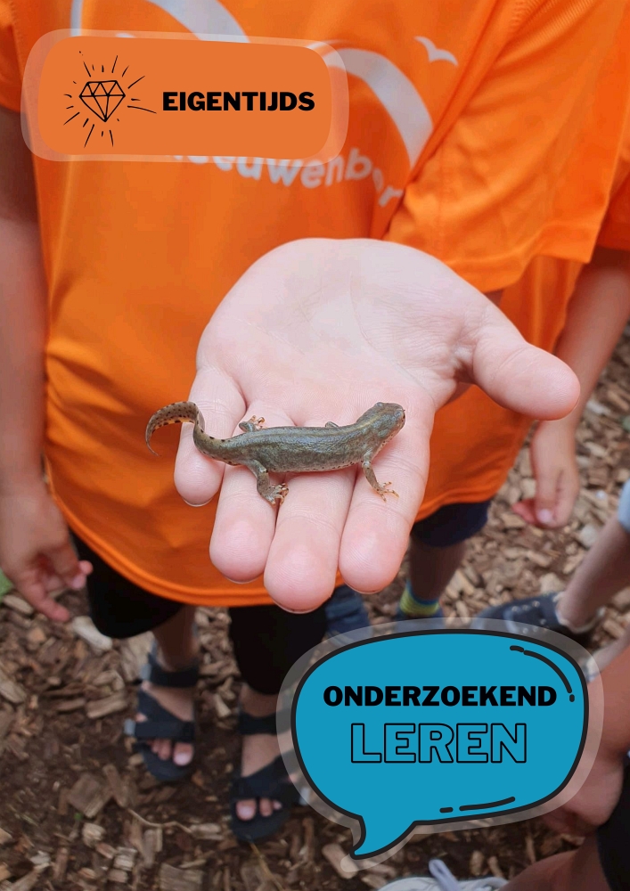 Meeuwenberg - Eigentijds & Hoogwaardig Onderwijs